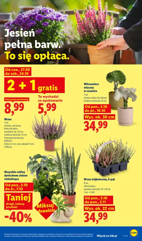 Lidl - gazetka promocyjna Od poniedziałku od poniedziałku 05.10 do środy 07.10 - strona 91