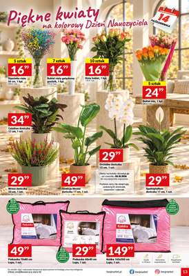 Twój Market - gazetka promocyjna Gazetka od środy 07.10 do wtorku 13.10 - strona 13
