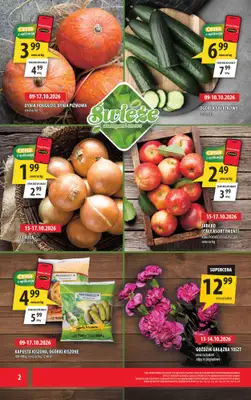 Arhelan - gazetka promocyjna Gazetka od piątku 09.10 do soboty 17.10 - strona 2