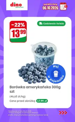 Dino - gazetka promocyjna Specjalna oferta na 06.10.2026 - promocje spoza gazetki od wtorku 06.10 do wtorku 06.10 - strona 4
