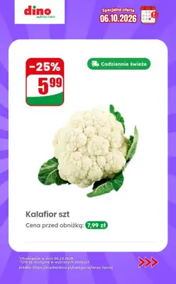 Dino - gazetka promocyjna Specjalna oferta na 06.10.2026 - promocje spoza gazetki od wtorku 06.10 do wtorku 06.10 - strona 7