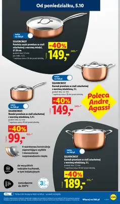 Lidl - gazetka promocyjna Od poniedziałku od poniedziałku 05.10 do środy 07.10 - strona 31