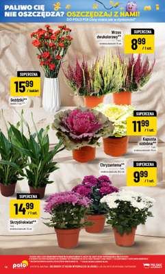 POLOmarket - gazetka promocyjna Gazetka od środy 07.10 do wtorku 13.10 - strona 14