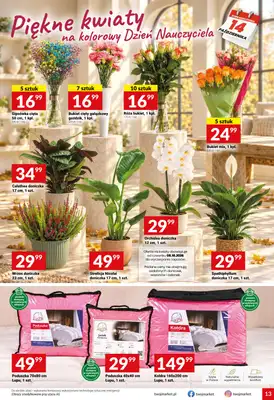 Twój Market - gazetka promocyjna Gazetka od środy 07.10 do wtorku 13.10 - strona 13