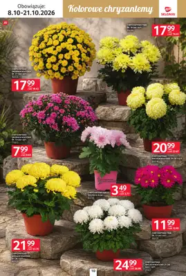 Selgros - gazetka promocyjna Katalog Wszystkich świętych od czwartku 08.10 do środy 21.10 - strona 10