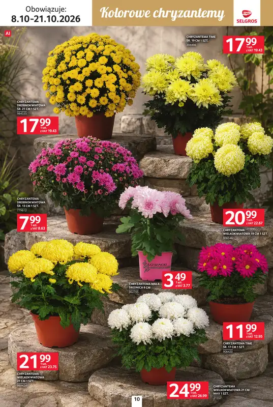 Selgros - gazetka promocyjna Katalog Wszystkich świętych od czwartku 08.10 do środy 21.10 - strona 10