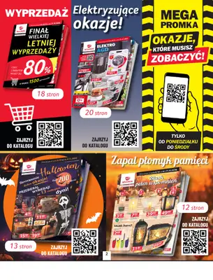 Selgros - gazetka promocyjna Oferta przemysłowa od czwartku 08.10 do środy 21.10 - strona 2