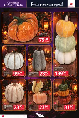 Selgros - gazetka promocyjna Katalog Halloween od czwartku 08.10 do środy 04.11 - strona 10