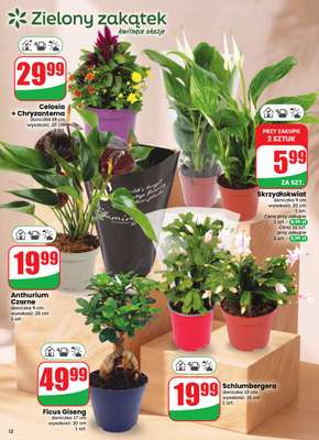 Dino - gazetka promocyjna Gazetka 41 / 2026 od środy 07.10 do wtorku 13.10 - strona 12