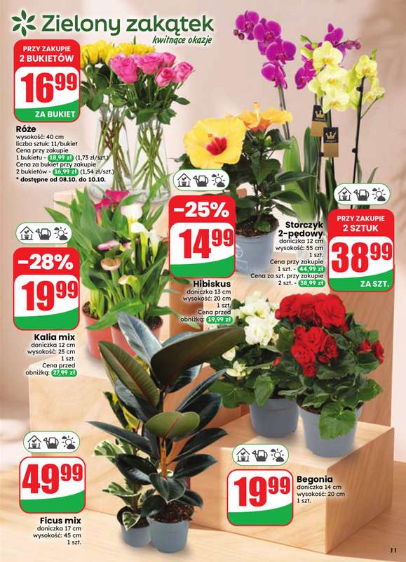 Dino - gazetka promocyjna Gazetka 41 / 2026 od środy 07.10 do wtorku 13.10 - strona 11
