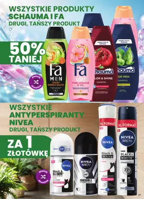Dino - gazetka promocyjna Gazetka 41 / 2026 od środy 07.10 do wtorku 13.10 - strona 77