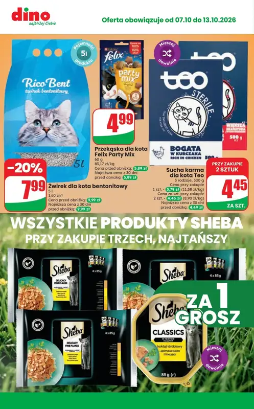 Dino - gazetka promocyjna Najlepsze promocje! od środy 07.10 do wtorku 13.10 - strona 10