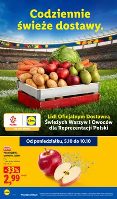 Lidl - gazetka promocyjna Gazetka od czwartku 08.10 do soboty 10.10 - strona 42