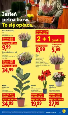 Lidl - gazetka promocyjna Gazetka od czwartku 08.10 do soboty 10.10 - strona 85