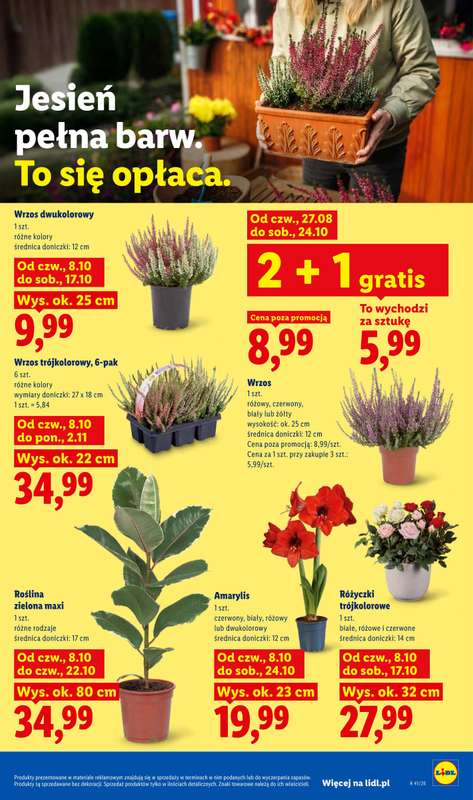 Lidl - gazetka promocyjna Gazetka od czwartku 08.10 do soboty 10.10 - strona 85