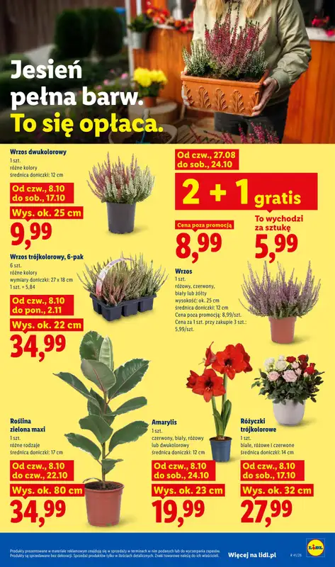 Lidl - gazetka promocyjna Gazetka od czwartku 08.10 do soboty 10.10 - strona 85