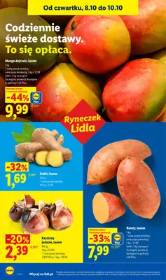 Lidl - gazetka promocyjna Gazetka od czwartku 08.10 do soboty 10.10 - strona 46
