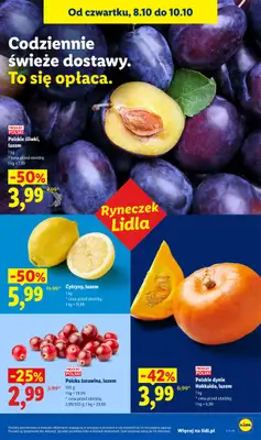 Lidl - gazetka promocyjna Gazetka od czwartku 08.10 do soboty 10.10 - strona 45