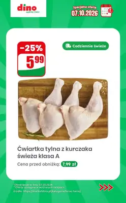 Dino - gazetka promocyjna Specjalna oferta na 07.10.2026 - promocje spoza gazetki od środy 07.10 do środy 07.10 - strona 3