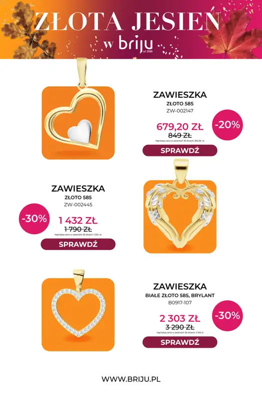 Briju - gazetka promocyjna Złota jesień od środy 07.10 do środy 21.10 - strona 9
