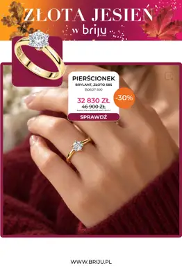 Briju - gazetka promocyjna Złota jesień od środy 07.10 do środy 21.10 - strona 4