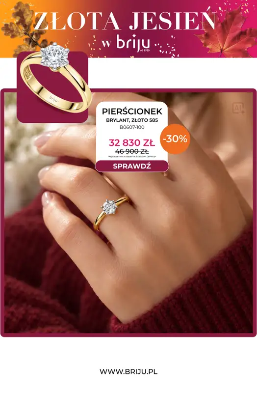 Briju - gazetka promocyjna Złota jesień od środy 07.10 do środy 21.10 - strona 4