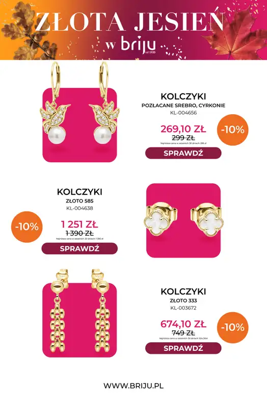 Briju - gazetka promocyjna Złota jesień od środy 07.10 do środy 21.10 - strona 11