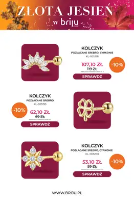 Briju - gazetka promocyjna Złota jesień od środy 07.10 do środy 21.10 - strona 10