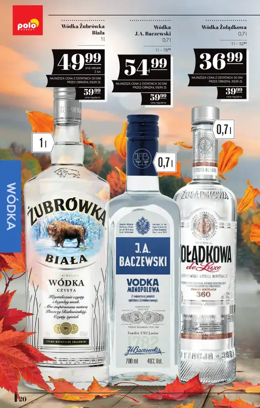 POLOmarket - gazetka promocyjna Katalog alkoholi od czwartku 08.10 do środy 21.10 - strona 20