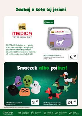 MAXI ZOO - gazetka promocyjna Gazetka od czwartku 08.10 do środy 04.11 - strona 10