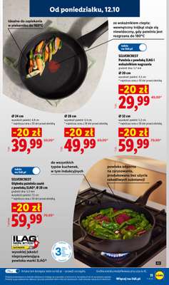 Lidl - gazetka promocyjna Katalog od poniedziałku 12.10 do soboty 24.10 - strona 13