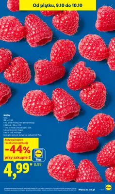Lidl - gazetka promocyjna Od czwartku od czwartku 08.10 do soboty 10.10 - strona 17