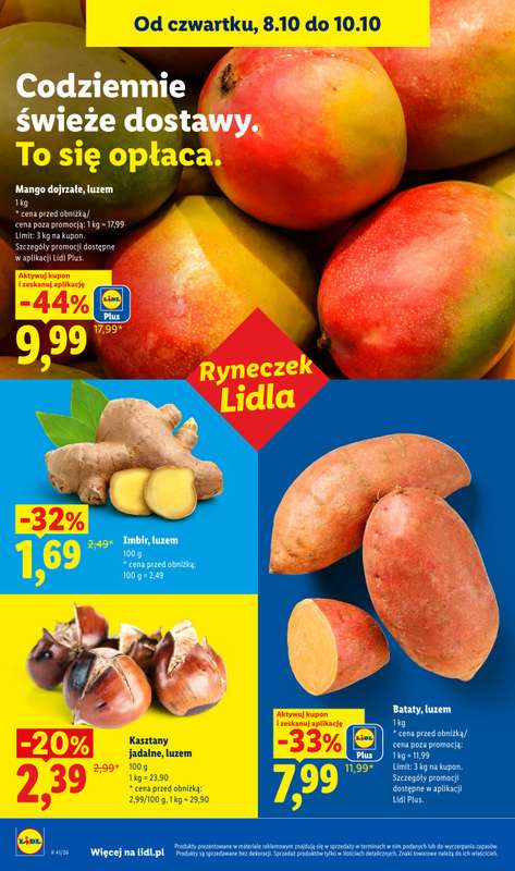 Lidl - gazetka promocyjna Od czwartku od czwartku 08.10 do soboty 10.10 - strona 46