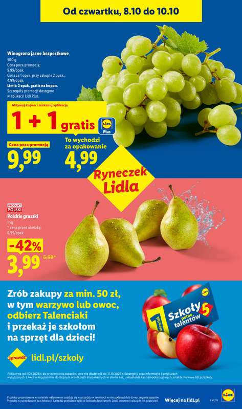 Lidl - gazetka promocyjna Od czwartku od czwartku 08.10 do soboty 10.10 - strona 47