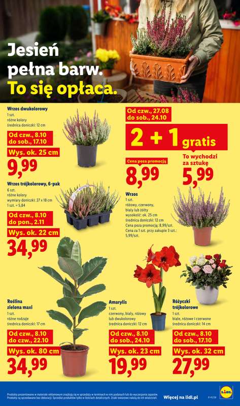 Lidl - gazetka promocyjna Od czwartku od czwartku 08.10 do soboty 10.10 - strona 85