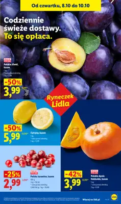 Lidl - gazetka promocyjna Od czwartku od czwartku 08.10 do soboty 10.10 - strona 45