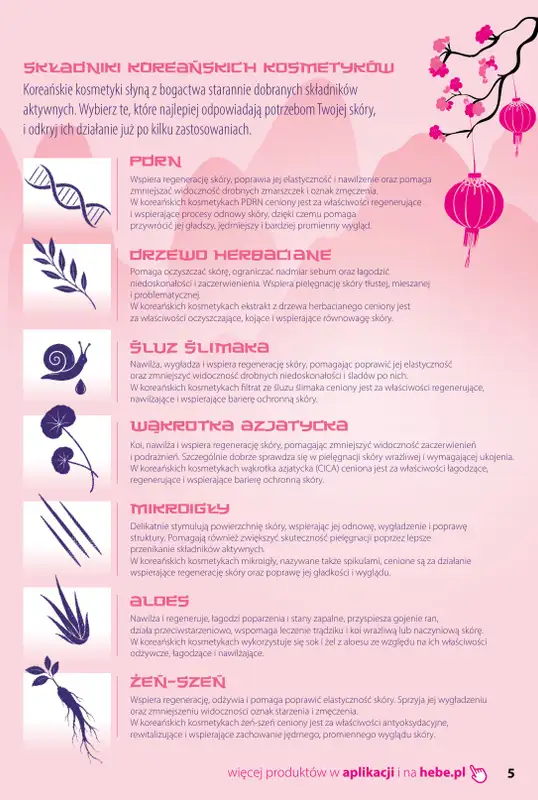 Hebe - gazetka promocyjna Katalog Koreańskie Rytuały Piękna od czwartku 08.10 do środy 11.11 - strona 5