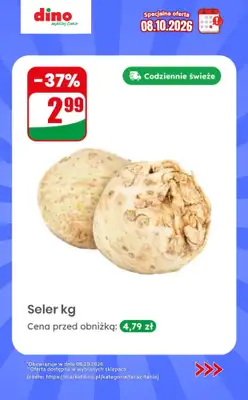 Dino - gazetka promocyjna Specjalna oferta na 08.10.2026 - promocje spoza gazetki od czwartku 08.10 do czwartku 08.10 - strona 11