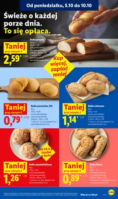 Lidl - gazetka promocyjna Od czwartku od czwartku 08.10 do soboty 10.10 - strona 49