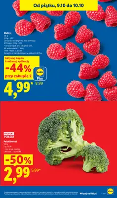 Lidl - gazetka promocyjna Od czwartku od czwartku 08.10 do soboty 10.10 - strona 17