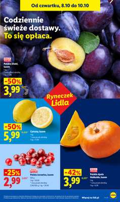 Lidl - gazetka promocyjna Od czwartku od czwartku 08.10 do soboty 10.10 - strona 45