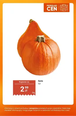 Dino - gazetka promocyjna Jesienne smaki - przegląd cen od czwartku 08.10 do wtorku 13.10 - strona 3