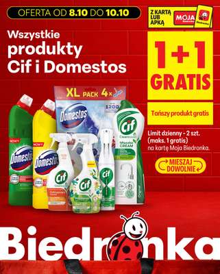 Biedronka - gazetka promocyjna Biedronkowe oszczędności od czwartku od czwartku 08.10 do soboty 10.10 - strona 19