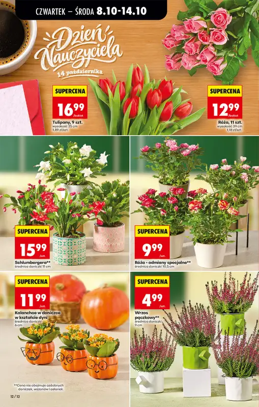 Biedronka - gazetka promocyjna Od czwartku, Z ladą tradycyjną od czwartku 08.10 do środy 14.10 - strona 16