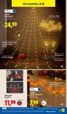 Lidl - gazetka promocyjna Katalog od poniedziałku 05.10 do soboty 10.10 - strona 45