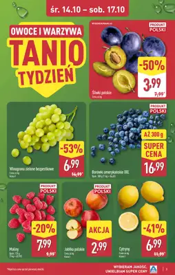 Aldi - gazetka promocyjna Warszawa, ul. Orzechowa 37, WIELKIE OTWARCIE już w ŚRODĘ 14.10! od środy 14.10 do soboty 17.10 - strona 3