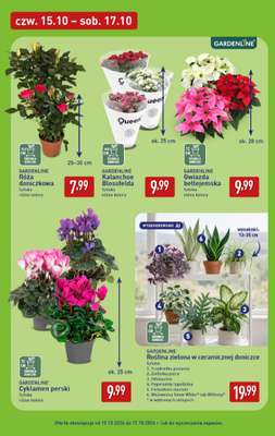 Aldi - gazetka promocyjna Weekend super cen w Aldi! od czwartku 15.10 do soboty 17.10 - strona 7