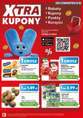 Kaufland - gazetka promocyjna Oferta Kaufland - SUPER SOBOTA od soboty 10.10 do soboty 10.10 - strona 13