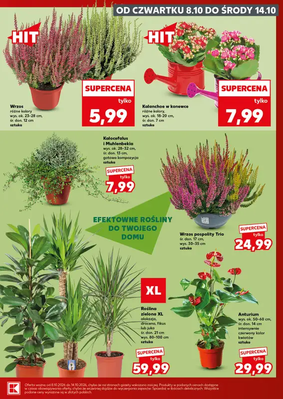 Kaufland - gazetka promocyjna Oferta Kaufland - SUPER SOBOTA od soboty 10.10 do soboty 10.10 - strona 7