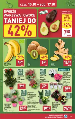 Aldi - gazetka promocyjna Pełny katalog! od poniedziałku 12.10 do soboty 17.10 - strona 43